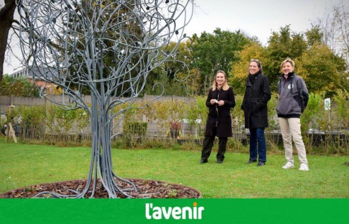 El Jardín de las Estrellas, para recordar al niño que nació muerto: “El feto no reconocido es una experiencia muy brutal”