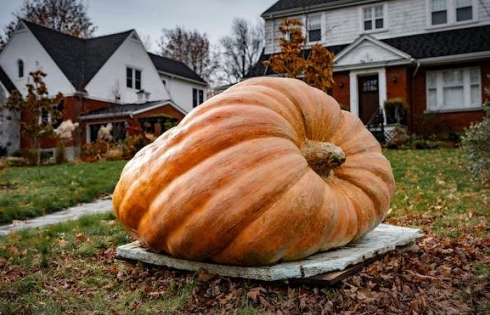 ¡Feliz Halloween! | Radio-Canadá