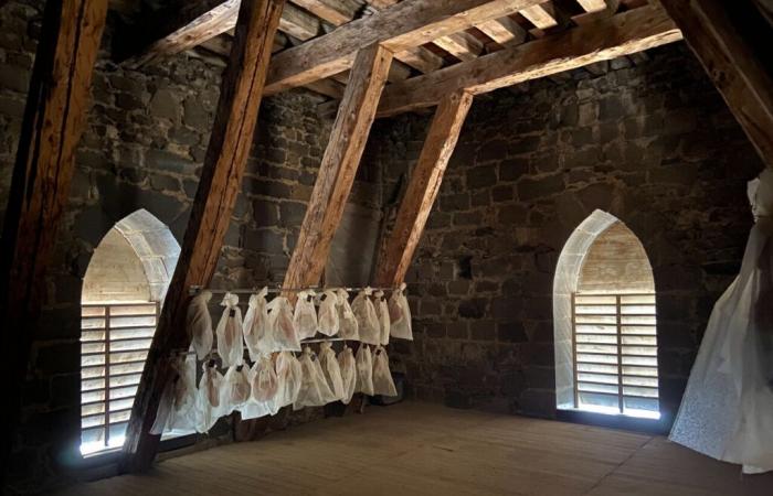 curando jamones en la catedral de Saint-Flour, Rachida Dati ha decidido