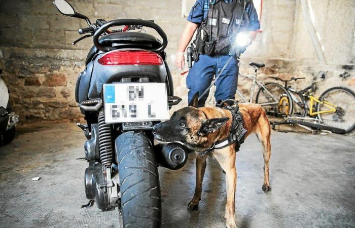 Lucha contra el narcotráfico: en Rennes, se espera el Retailleau a la vuelta de la esquina