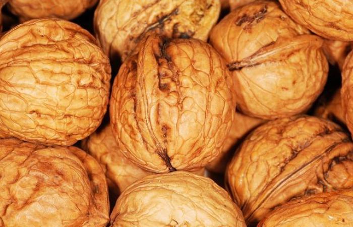 “Es simplemente una masacre”: los productores de nueces de Lot están decepcionados por la baja cosecha