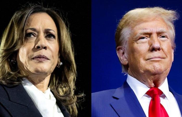 Campaña de Trump y Harris en los estados del Sun Belt en el oeste