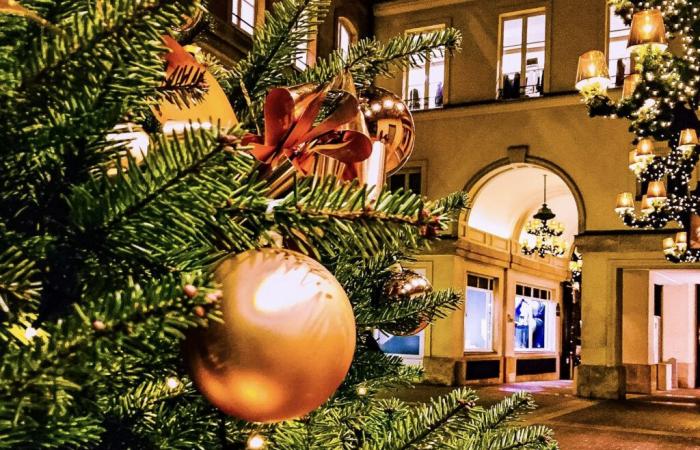 Navidad 2024: ¿dónde comprar su árbol de Navidad en París y Île-de-France?