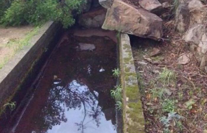 Fuertes lluvias en los Pirineos Orientales: el canal de Corbère bloqueado por el derrumbe de un acantilado