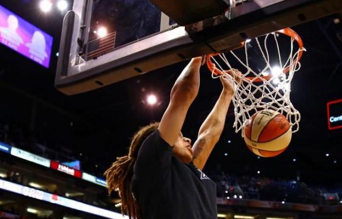 Antes de Malonga en Francia, los otros grandes pioneros del mate (Baloncesto)