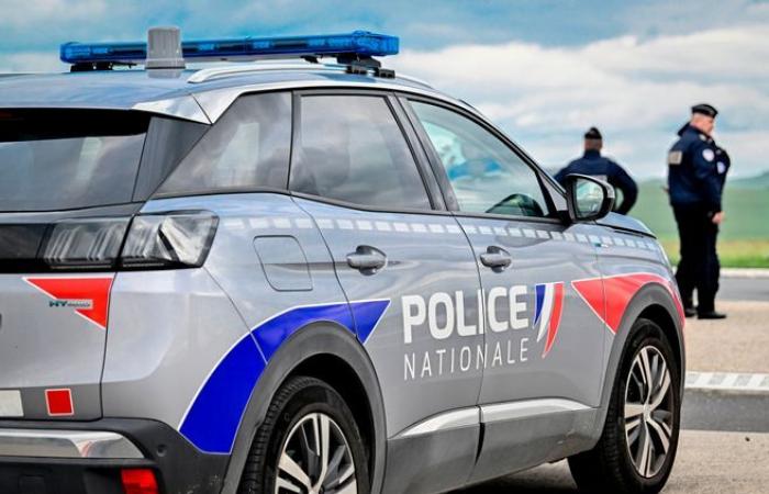 Un automovilista atropellado por dos hombres en un accidente trivial en Sena y Marne