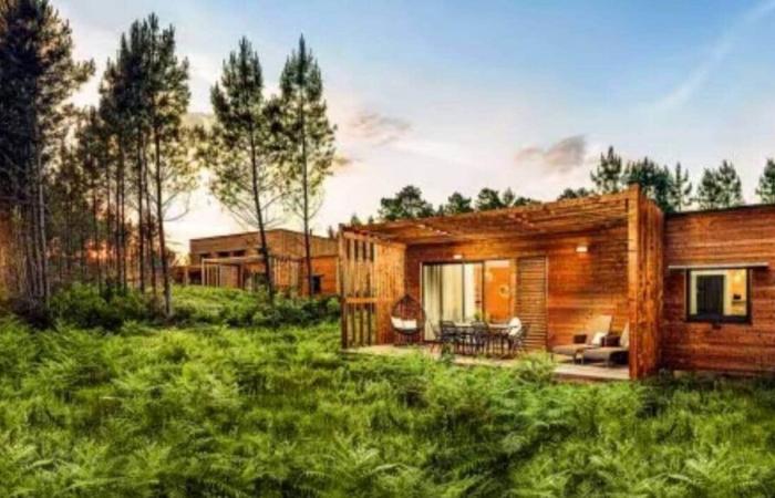 ¿Cuáles son los mejores Center Parcs de Francia? Aquí está el sitio a elegir para unas vacaciones ideales.