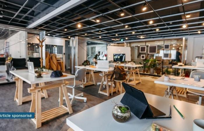 ¿Cuál es el objetivo del coworking?