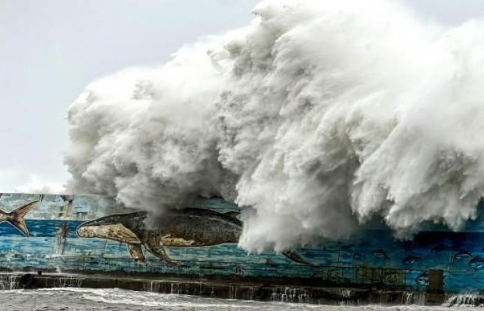 Olas de diez metros de altura, ráfagas de 260 km/h: Taiwán se prepara para la llegada de un violento tifón