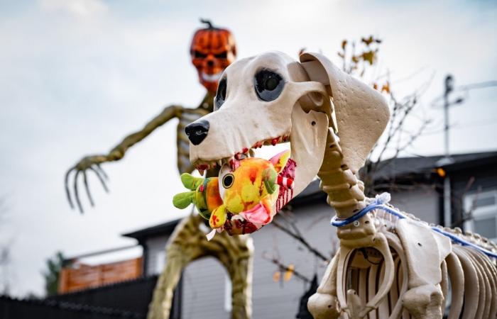 ¡Feliz Halloween! | Radio-Canadá