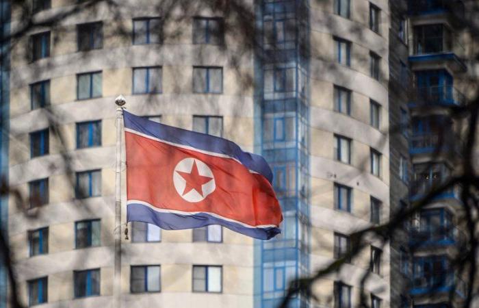 Guerra en Ucrania: Corea del Norte apoyará a su aliado ruso “hasta su victoria en Ucrania”, según su ministro de Asuntos Exteriores