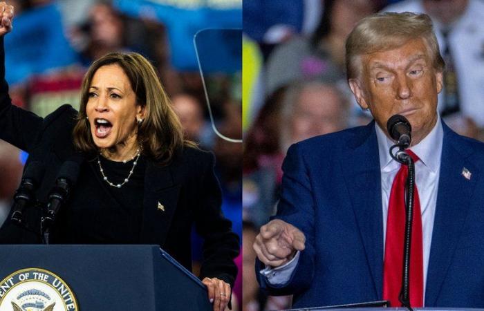 Los “estados indecisos” más importantes de las elecciones presidenciales estadounidenses: ¿por qué todo se jugará en Pensilvania para Trump y Harris?