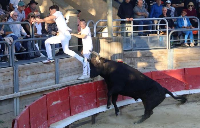 Vendargues: un silbante de primer nivel en la final del Main d’Or