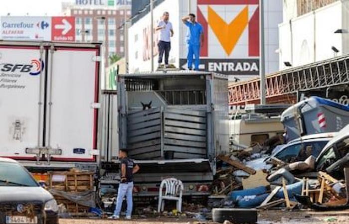 Un amanecer de saqueos, coches flotantes y 12 caballos deshidratados en el polígono comercial de Alfafar | España