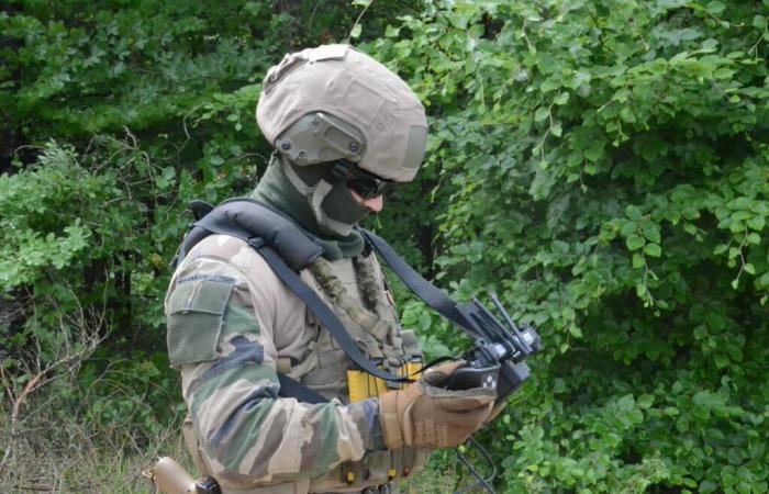 Ejercicio militar a gran escala en el centro de Chaumont