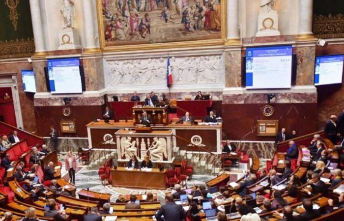 “¡Adelante y lárgate!” : Estalló un animado intercambio en la Asamblea Nacional entre un diputado RN y un diputado Insoumis. : Noticias