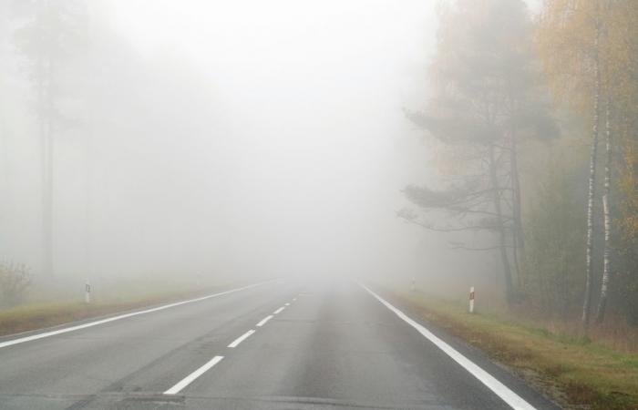 Previsión meteorológica: ¿la niebla dará paso a los claros?