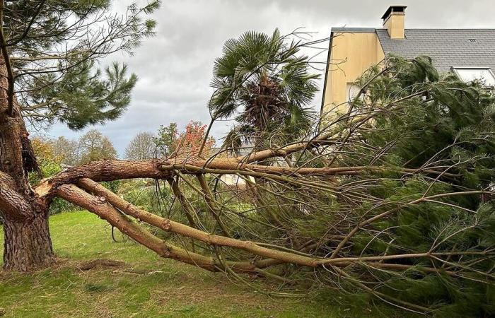 Tormenta Ciaran, un año después: los bomberos de Lessay “aislados del mundo”