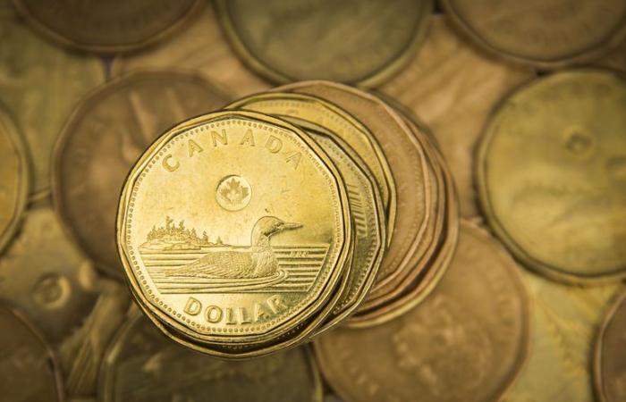 El dólar canadiense podría apreciarse si la economía se recupera