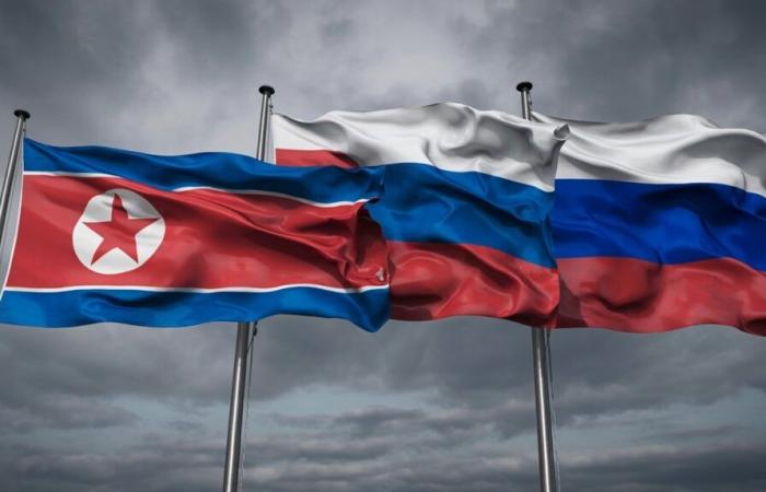 Corea del Norte oficializa su apoyo militar a Rusia