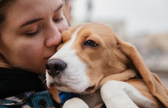 DATO DEL DÍA ¿Cómo llorar la pérdida de tu mascota?