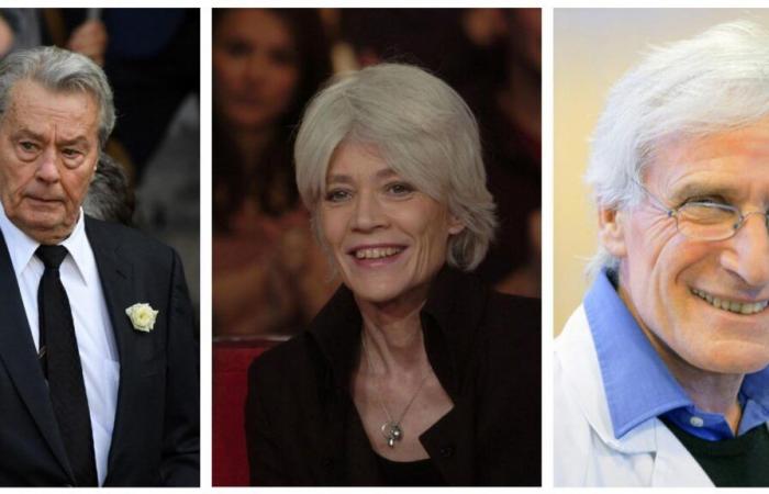 Alain Delon, Françoise Hardy, Michel Blanc, Alain Cribier… murieron en 2024