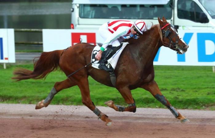 Premio Annick y Georges Dreux: Jimako Verderie como jefe