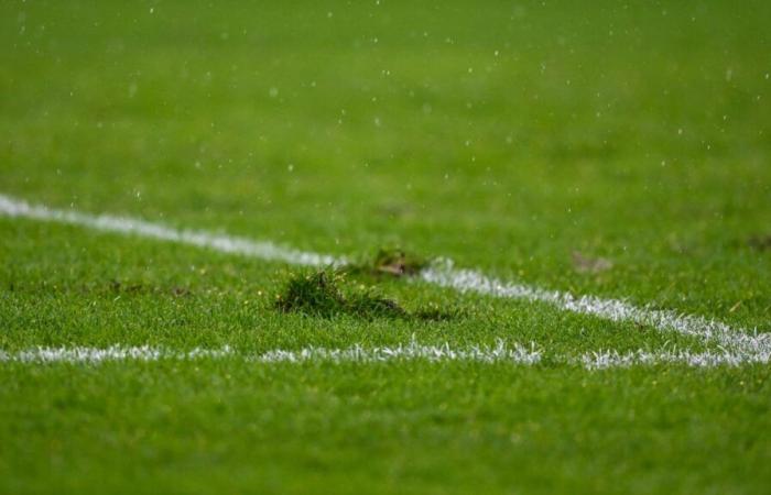 Los coches de dos educadores de fútbol, ​​de la categoría sub-11, se quemaron la misma noche cerca de Toulouse