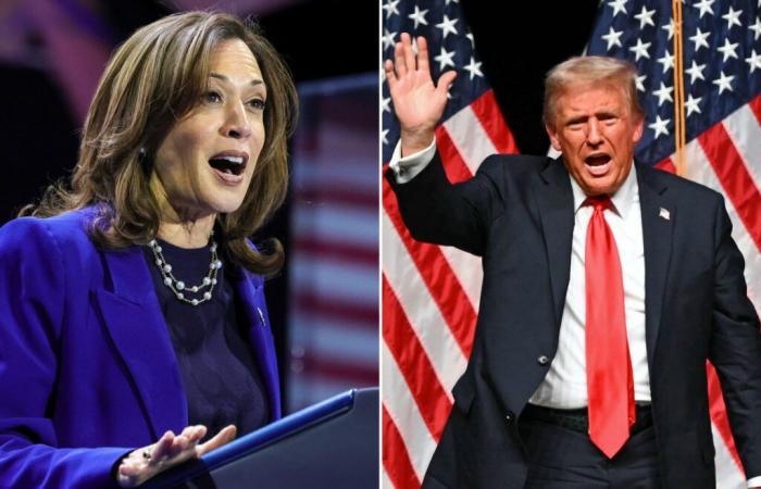 ¿Trump o Harris? Los resultados de las encuestas del D-4 de las elecciones.