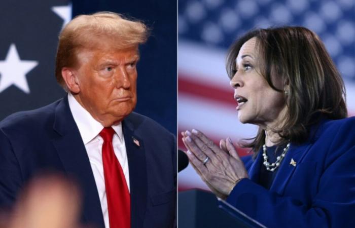 Harris y Trump en escalada verbal para arrebatar estados clave – 11/02/2024 a las 00:52