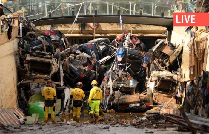 Directo – Inundaciones en España: cientos de voluntarios armados con cepillos y palas acuden para ayudar a los barrios afectados por la catástrofe