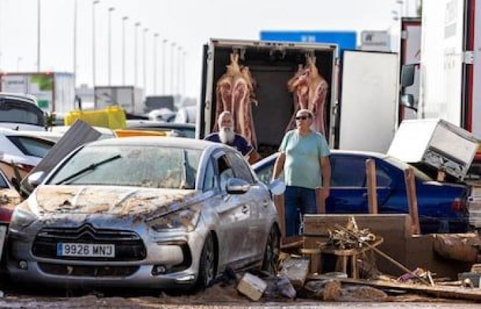 Un amanecer de saqueos, coches flotantes y 12 caballos deshidratados en el polígono comercial de Alfafar | España