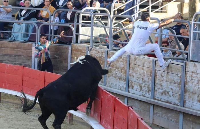 Vendargues: un silbante de primer nivel en la final del Main d’Or