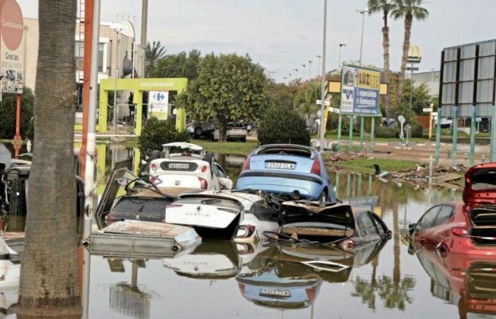 al menos 205 muertos, según un nuevo informe