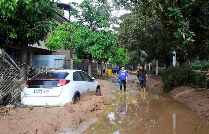 Inundaciones en España: “Si una tormenta así ocurre en Niza o Cannes, el número de muertos será aún mayor”, advierte el agroclimatólogo Serge Zaka