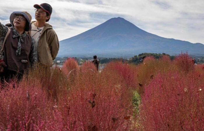 Japón. Pero, ¿adónde se fue la capa de nieve del monte Fuji?