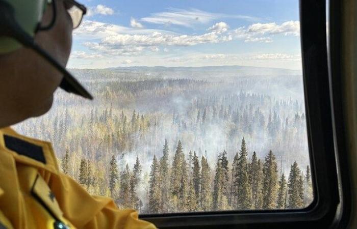 Nuevo Mundo. experimentó una temporada de incendios forestales “muy activa” en 2024