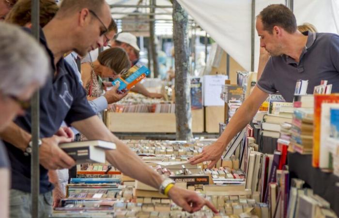 ¡20.000 libros a precios reducidos para los amantes de la lectura!