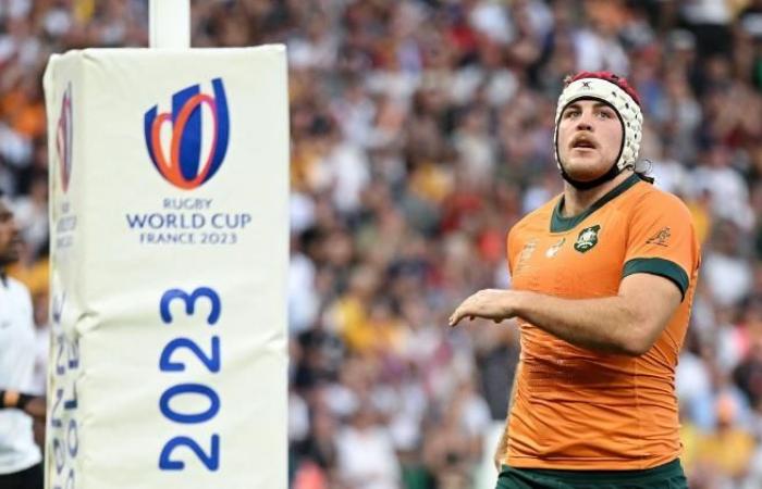 RUGBY. Francia, Irlanda, Nueva Zelanda, etc. ¿Qué dinámica para los grandes nombres antes de las pruebas?