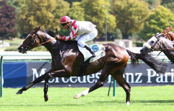 La cita del Gran Premio de Nantes, cita ineludible del otoño automovilístico, se podrá seguir en Facebook Live a partir de las 11:40 h.