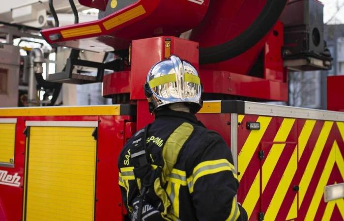 Un vehículo se incendia en la autopista A81: una ralentización en curso