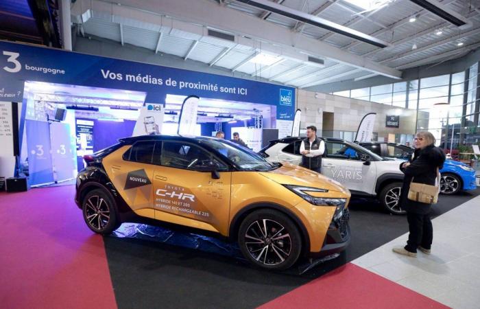 FERIA DE DIJON: El nuevo pasillo de Epicúreos mejora la experiencia del visitante