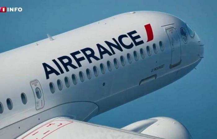 Billetes de avión: Air France aplica un recargo incluso antes de que se apruebe la ley