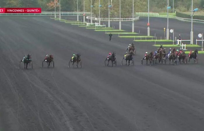 Quinté+: PRIX DE SOULAC – PARIS-VINCENNES – 31/10/2024: corredores, predicciones y resultados en vídeos – Carrera 1