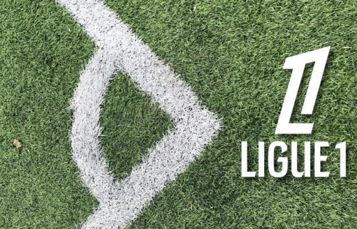 LOSC – OL: la oferta imperdible para ver el partido en vivo por DAZN