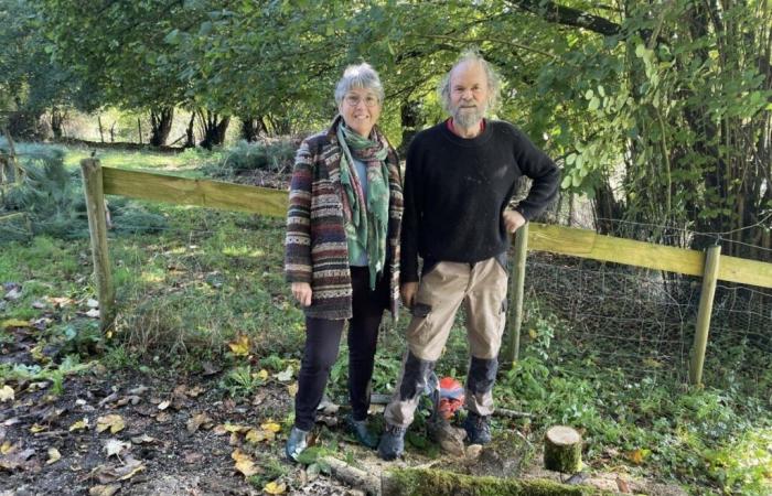 La Folêterie, un jardín extraordinario en Orne esculpido con amor desde hace 30 años