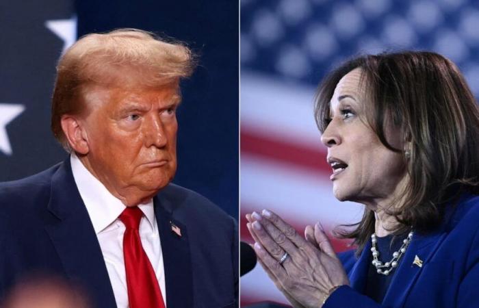 El abuso verbal de Trump lo ‘descalifica’ para la Casa Blanca, dice Harris