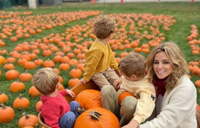 El enorme rancho de Connecticut de Richard Gere y su esposa Alejandra que están dejando atrás