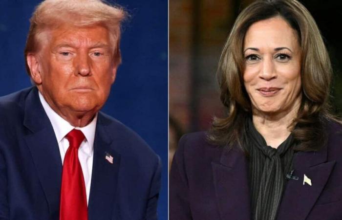 Donald Trump o Kamala Harris: la anarquía que vendrá después del 5 de noviembre