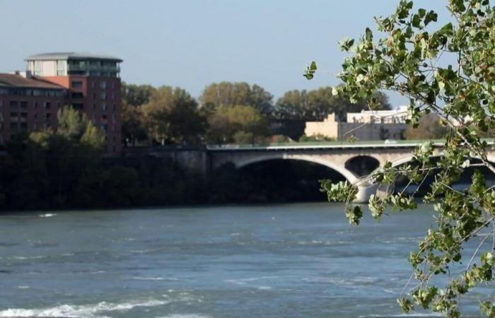 En Toulouse, los precios bajan un 30% para el invierno